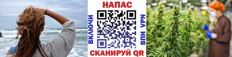 Названия наркотиков Курчатов Канабис  Меф  Кокаин  Галлюциногенные грибы  ГАШ  СОЛЬ 