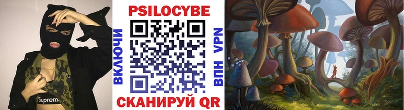 Псилоцибиновые грибы Magic Shrooms  omg рабочий сайт  Курчатов 