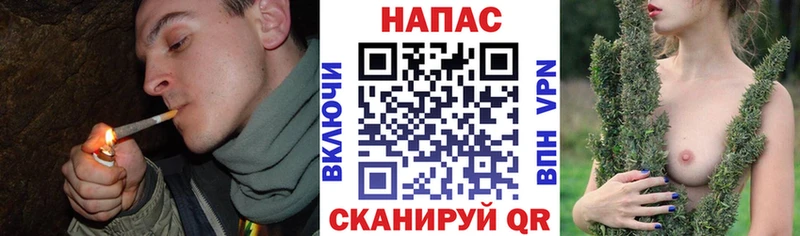 кракен зеркало  Курчатов  Канабис планчик 
